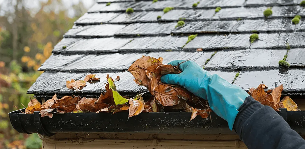 Gutter cleaning technician clearing wet leaves from roof gutters in Mesa, AZ